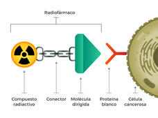Diagrama en el que se observa un radiofármaco y sus partes: un compuesto radiactivo, un conector y una molécula dirigida.