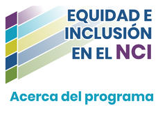 Equidad e inlcusión en el NCI: acerca del programa