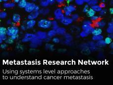 Metastasis Research Network (MetNet) Image