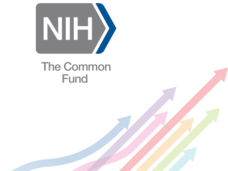 NIH Common Fund FIRST Program Image