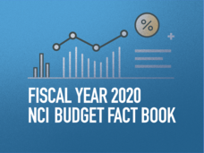 Blue background with bar graphs and the following text in white "FISCAL YEAR 2020 NO BUDGET FACT BOOK". 