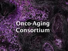 Image of KRAS-driven lung cancer overlayed with "Onco-Aging Consortium"