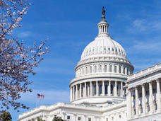 Photo of the US Capitol Building 