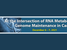 At the Intersection of RNA Metabolism and Genome Maintenance in Cancer Workshop (December 6-7, 2021) image with an illustration of DNA