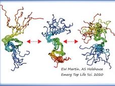 Understanding the Role of Intrinsically Disordered Proteins (IDPs) in Cancer Biology Workshop banner with an image of an IDP