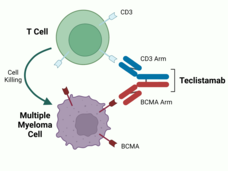 Teclistamab for multiple myeloma