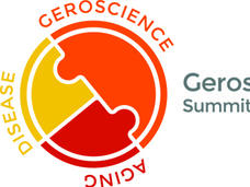 2019 Geroscience Summit image showing the connection between aging, disease, and geroscience