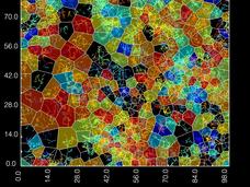 Map of KRAS4b mobility in a 16 by 16-micron region of the membrane of a HeLa cell