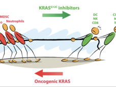 KRAS G12C-mediated immunosuppression is released by KRAS G12C inhibitors