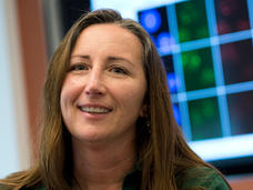 A White woman with light brown hair wearing a green blouse sitting in front of a large computer screen on the wall.