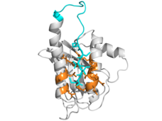 Illustration of interlocking gray, orange, and blue coils