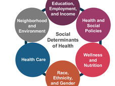A circle diagram highlighting the different social determinants of health