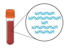 drawing of a test tube of blood with a blow-up view of DNA