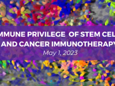 Banner for the Immune Privilege of Stem Cells and Cancer Immunotherapy Workshop (May 1, 2023) with images of stem cell clonal tracking and dendritic cells interacting with T cells.