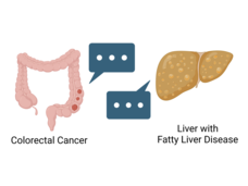 Icon of a colon with three tumors on the right side. A message bubble with three dots points from the colon tumors. On the other side, an icon of a yellowish liver with a message bubble coming from it.