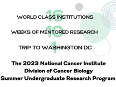 16 world class institutions; 10 weeks of mentored research; 1 trip to Washington, DC