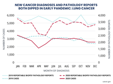 Annual Report to the Nation Part 2: New cancer diagnoses fell abruptly early in the COVID-19 pandemic