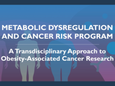 Metabolic Dysregulation and Cancer Risk Program: A Transdisciplinary Approach to Obesity-Associated Cancer Research; images of people, cells, and metabolic mechanisms
