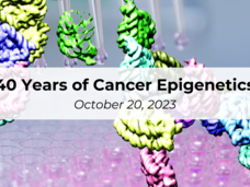 40 years of Cancer Epigenetics Symposium image with interacting chromatin chains in cell nucleus and a multichannel pipet over a 96-well plate