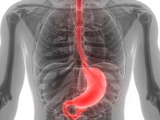 A conceptual imaging scan of a chest with the esophagus and stomach highlighted in red