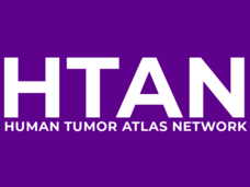 Human Tumor Atlas Network (HTAN) banner