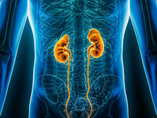 Analysis identifies 50 new genomic regions associated with kidney cancer risk