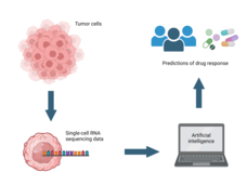 NIH researchers develop AI tool with potential to more precisely match cancer drugs to patients