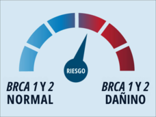 Imagen conceptual de un medidor de riesgo de cáncer con BCRA normal y BCRA dañino con una aguja que apunta hacia el lado del BRCA dañino.