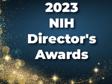 Dark blue background with glitter. Text reads, "2023 NIH Director's Awards"