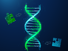 A strand of DNA is featured, with two puzzle pieces fitting into place on each strand. Illustrates how researchers are fitting together all the pieces of what we know about genetics to get a more complete understanding of our DNA.