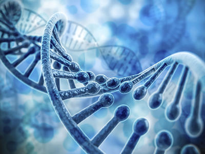 Three-dimensional illustration of DNA