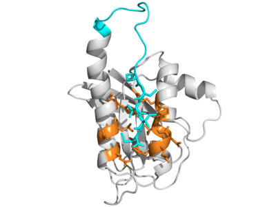Illustration of interlocking gray, orange, and blue coils