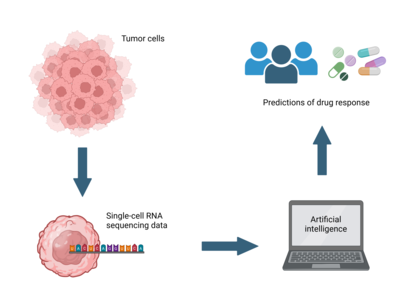 A simple schematic showing a cluster of tumor cells, followed by an arrow, followed by a single tumor cell producing RNA sequencing data, followed by an arrow pointing to a laptop with the words AI Tool on the screen, followed by an arrow pointing to an icon of patients and different types of cancer drugs.  