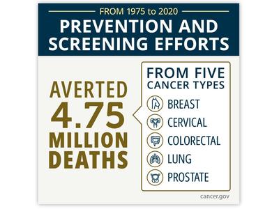 A factoid that reads: From 1975 to 2020, prevention and screening efforts averted 4.75 million deaths from five cancer types: breast, cervical colorectal, lung prostate. 