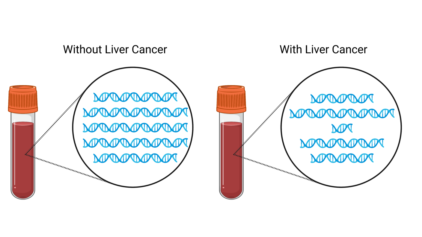 Two tubes of blood with zoom-ins showing DNA fragments. 