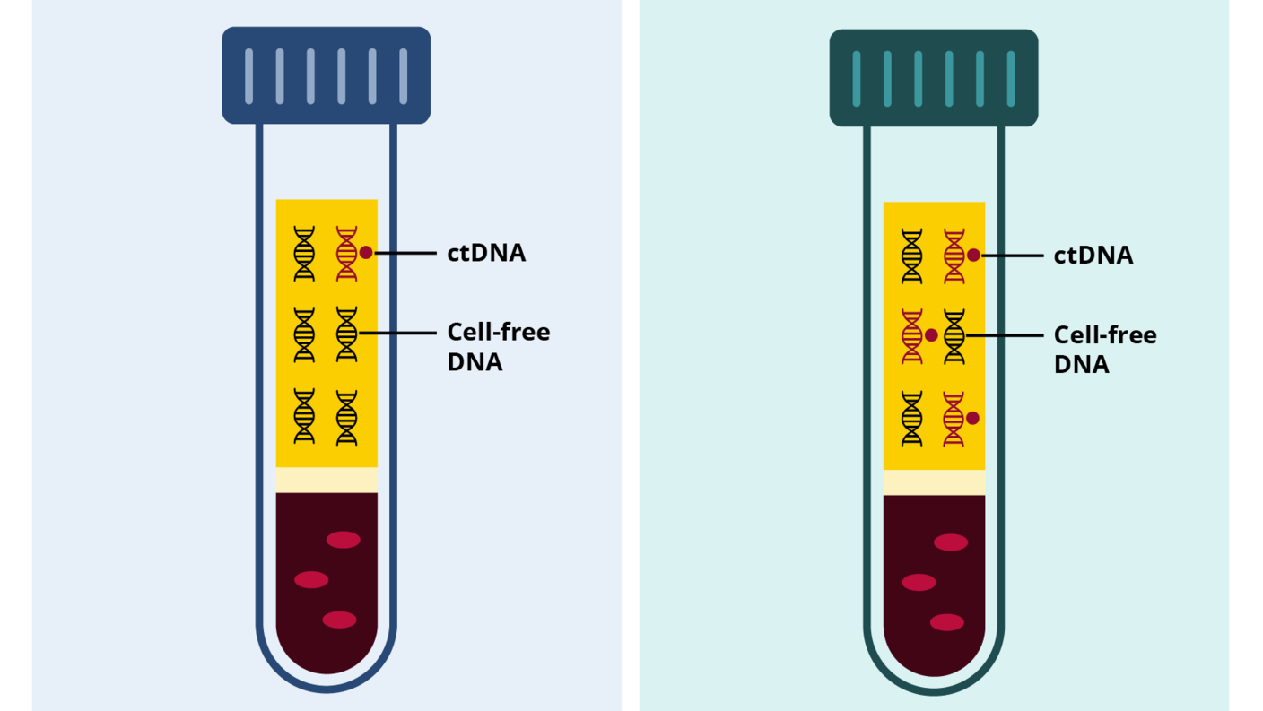 Graphic showing effects of priming agent on concentration of ctDNA and cell-free DNA on liquid biopsy.