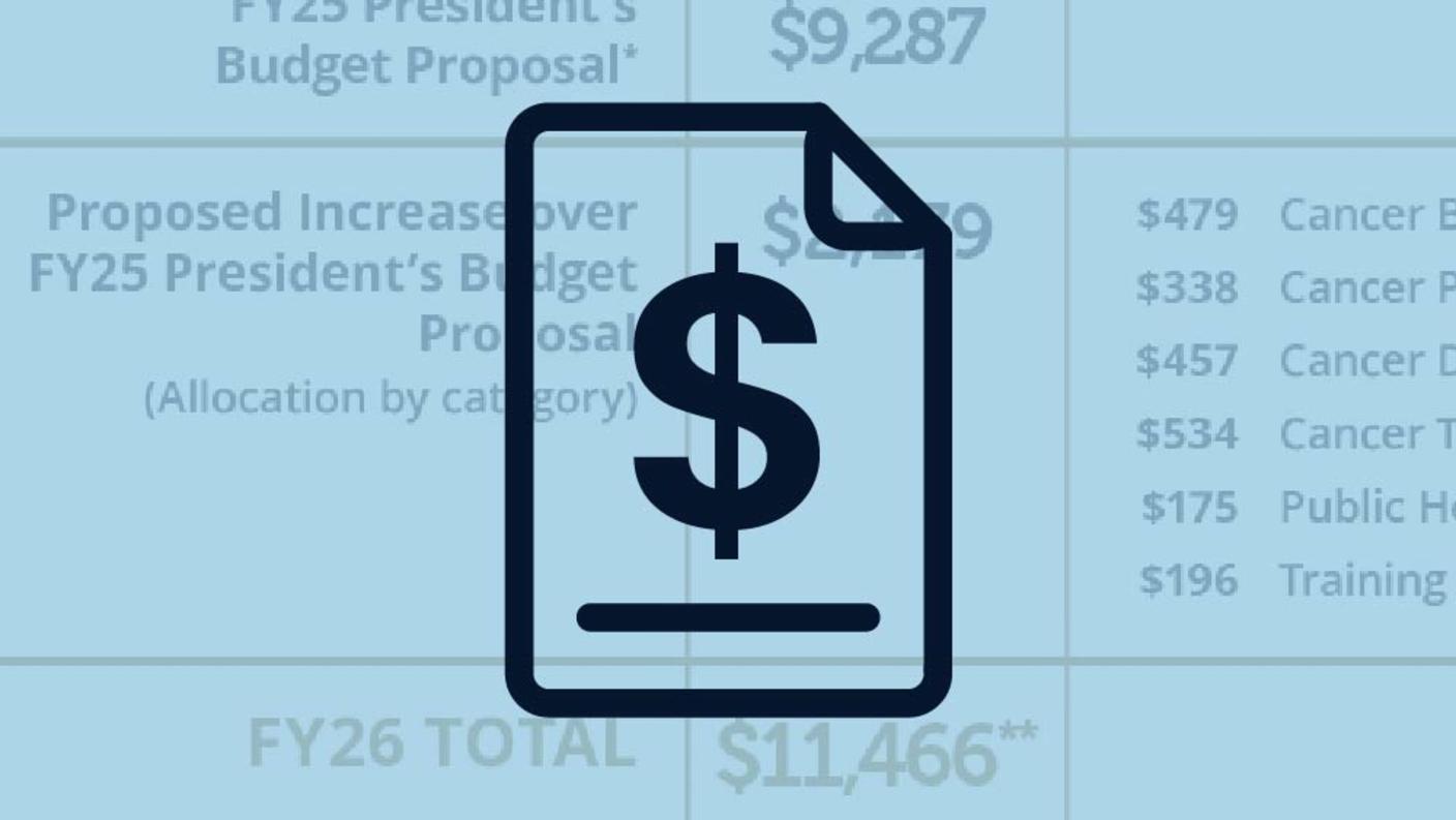 Dark blue icon of a dollar sign on a page, overlaid onto a blue background showing cells from a budget spreadsheet.