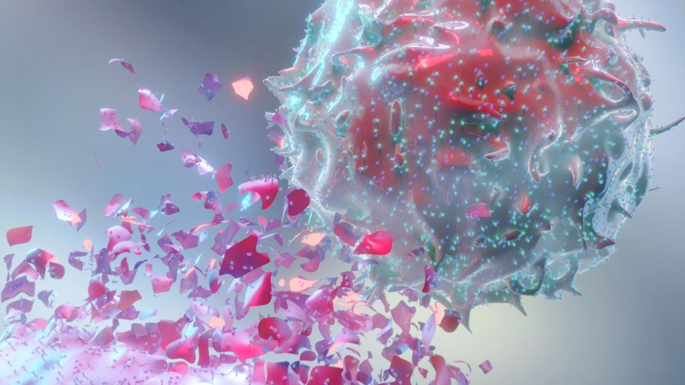 A stylized image of an immune cell attacking a cancer cell.