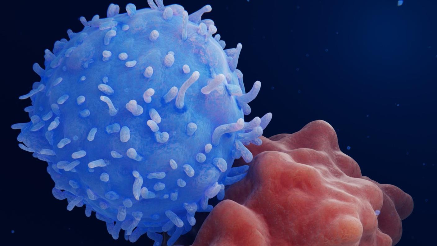 A conceptual illustration of a T cell attacking a cancer cell