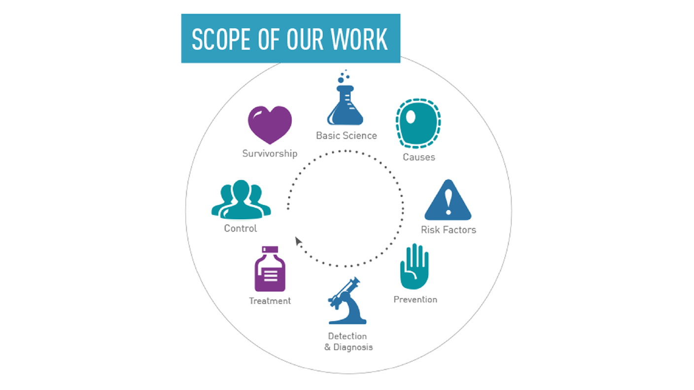 Icons that represent broad areas of NCI's work (such as cancer prevention and treatment), arranged in a circle.