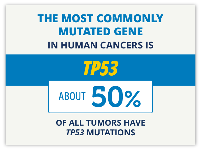 Photo: Cancer The Path Toward Clinical Application