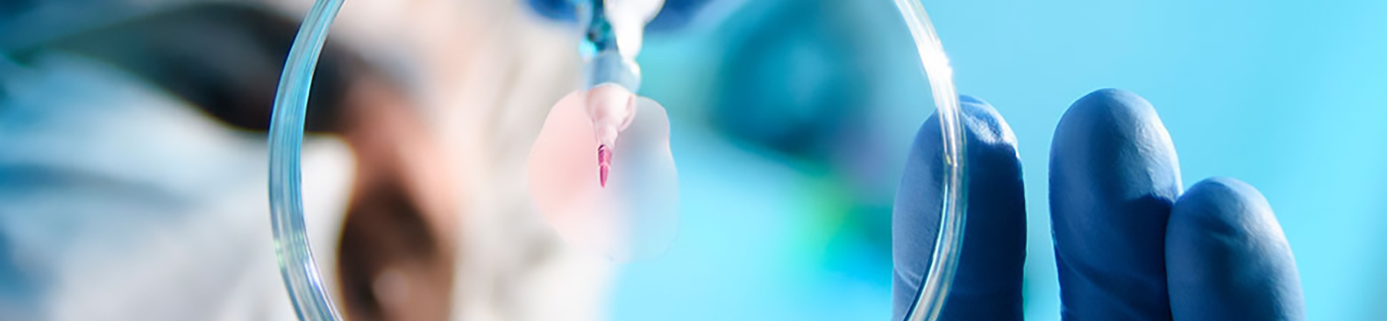 Un investigador transfiere líquido con una micropipeta a una caja de Petri.