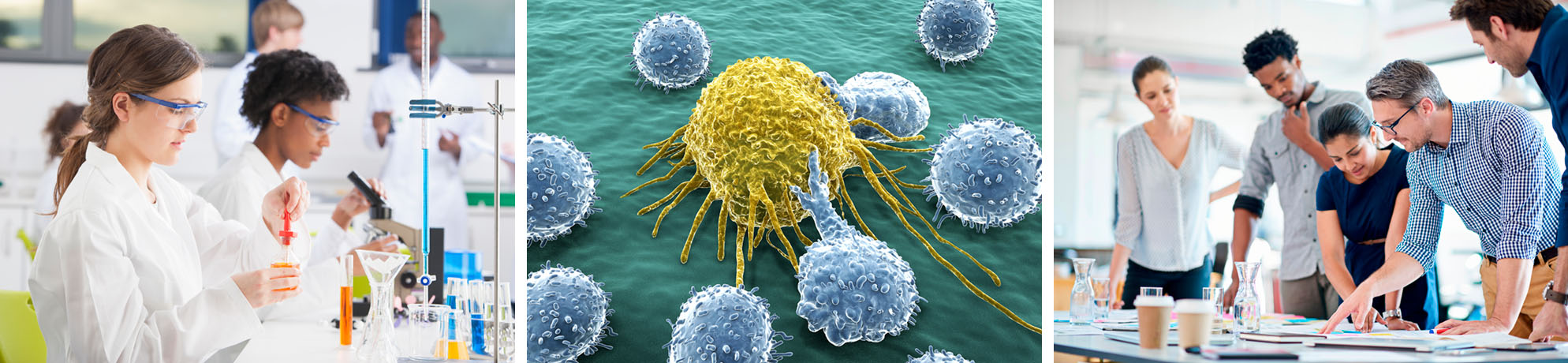 A triptych of researchers, cancer cell and lymphocytes, and administrators