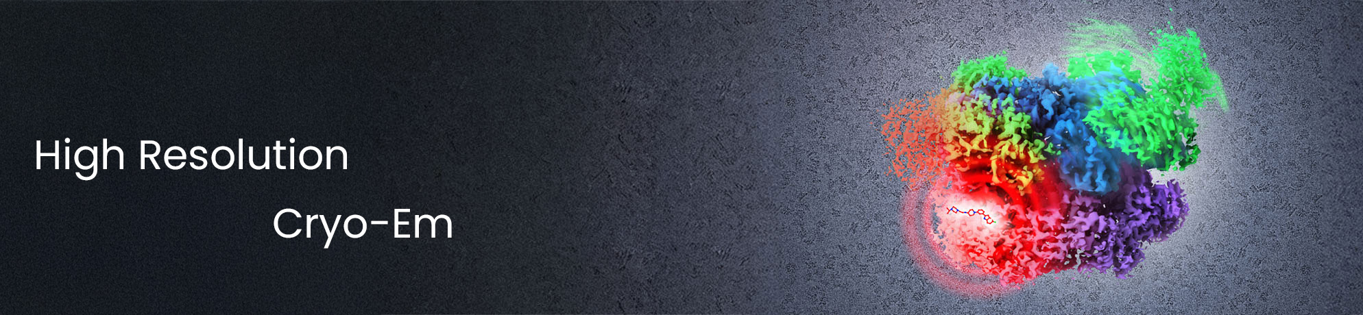 High Resolution Cryo-EM with a model of a p97 protein