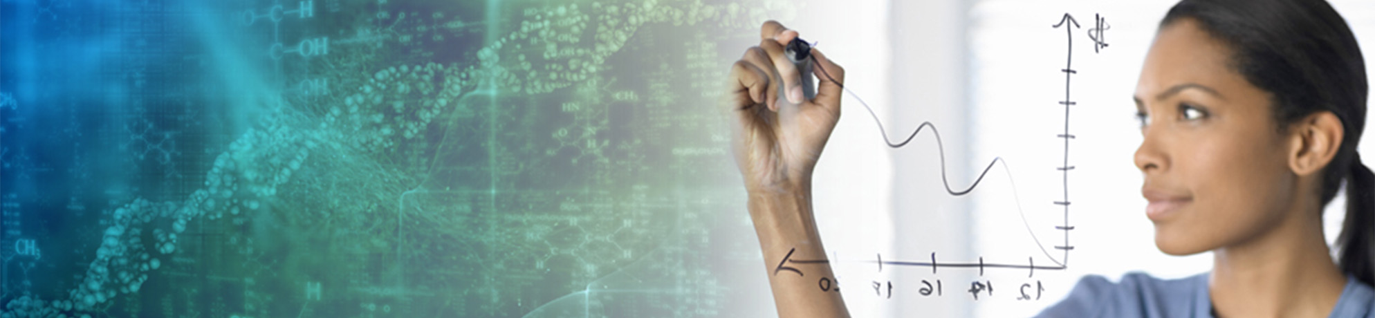 Woman drawing a chart in marker on glass