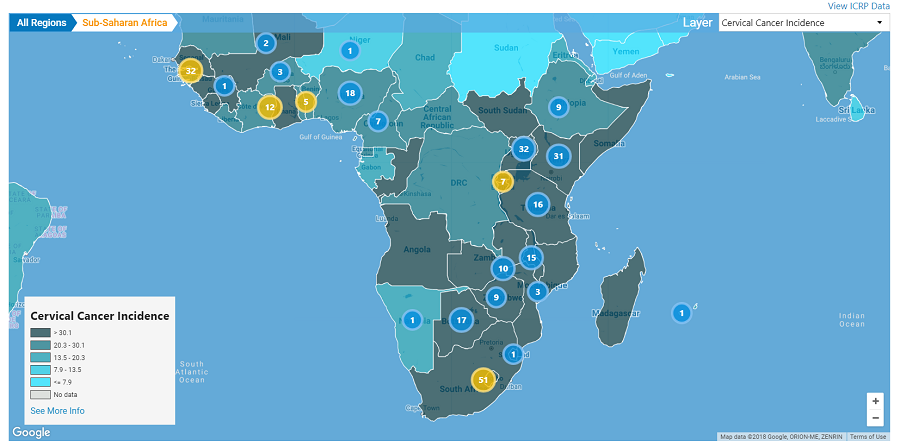 Map of cervical cancer incidences in south africa.