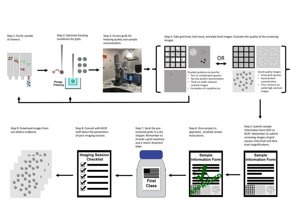 Diagram of NCEF Process Workflow Steps 1-9