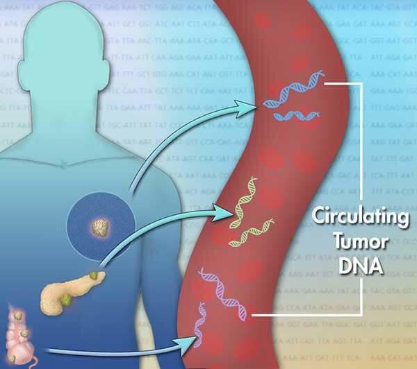 Illustration of tumors releasing pieces of DNA into the bloodstream