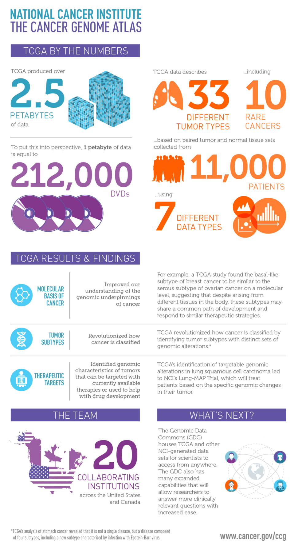 TCGA Vy the Numbers Infographic showing that TCHA produced over 2.5 petabytes of data, describes 33 different tumor types, including 10 rare cancers; It's based on paired tumor and normal tissue sets from 11,000 patients, and uses 7 different data types. It also summarizes TCGA findings and the team. 