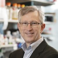 Headshot of Joan Massagué